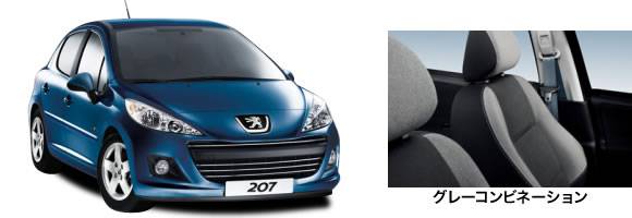 Peugeot 207 envy